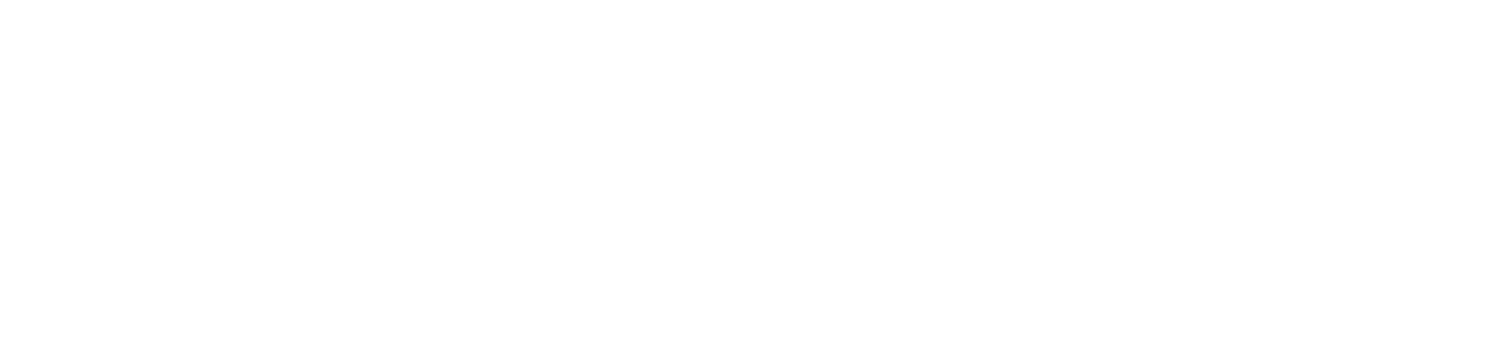 NVisionU